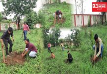 બાળકોને વૃક્ષો તરફ પ્રેમ અને આકર્ષણ જન્મે એવા ઉદ્દેશ સાથે એક્શન યુવા ગૃપ ઉમરપાડા દ્વારા કરાયું વૃક્ષારોપણ..