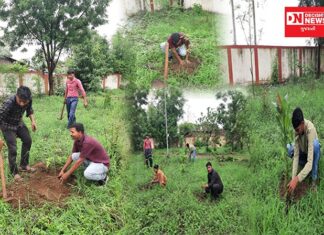 બાળકોને વૃક્ષો તરફ પ્રેમ અને આકર્ષણ જન્મે એવા ઉદ્દેશ સાથે એક્શન યુવા ગૃપ ઉમરપાડા દ્વારા કરાયું વૃક્ષારોપણ..