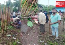 ડેડીયાપાડાના આંજણવાઇ ગામમાં કરાઈ આદિવાસી સમાજના રીતરિવાજ મુજબ માટનીયો દેવની પૂજા અર્ચના વિધિ..