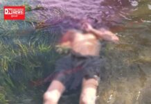 નદીમાં નાહવા પડેલા મહેન્દ્રનું મગરે ઊંડા પાણીમાં ખેંચી જઈને કર્યું મોત..