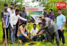 ધરમપુરના માલનપાડા ડુંગર સ્વામી વિવેકાનંદ ગુજરાત રાજ્ય યુવા બોર્ડ દ્વારા યોજાયો વૃક્ષારોપણ કાર્યક્ર્મ..