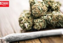 વાંસદાના ગામડાઓનું યુવાધન ગાંજાના રવાડે ચડી રહ્યું છે ની.. લોકચર્ચા