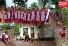 ડેડીયાપાડાની બેસણા ગામ પ્રા. શાળામાં શિક્ષકો અને વિદ્યાર્થીઓએ મળીને કર્યું વૃક્ષારોપણ..