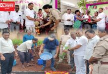 કપરાડાની માંડવા મોડેલ સ્કૂલમાં ધારાસભ્ય જીતું ચૌધરીની ઉપસ્થિતિમાં થયું વન મહોત્સવનું આયોજન