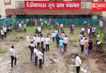 ડેડીયાપાડા ગ્રુપ ગ્રામ પંચાયત દ્વારા કરાયું 1100 રોપાનું વૃક્ષારોપણ..