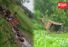 સાગબારા-દેડિયાપાડા નેશનલ હાઇવે ઉપર ગંગાપુર ગામ પાસે પશુ ભરેલી ટ્રક પશુ ભરેલી પલટી ખાઈ જતાં પાંચ પશુના મોત