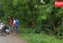 વહીવટીતંત્રના કુંભકર્ણની નિદ્રા કારણે વાંસદામાં ખાડાઓનું સામ્રાજ્ય..