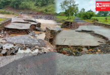 ભારે વરસાદને પગલે ડેડીયાપાડાના કુંભખાડી ગામે આવેલો પુલ તૂટી જતા વાહનવ્યવહાર થયો બંધ: જુઓ વિડીયો