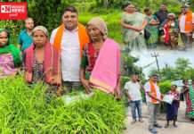 વાંસદામાં ડો. વિશાલ પટેલનું પશુઓનો ચારો વેચીને પોતાનો ઘર સંસાર ચલાવતી આદિવાસી મહિલાઓ સાથે PM બર્થ ડેનું સેલિબ્રેશન..