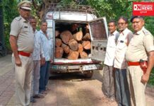 સાગબારામાં ખેરના લાકડાની હેરાફેરી કરતી જીપને પકડી.. 40 હજારથી વધુના લાકડા કર્યા જપ્ત..