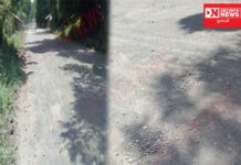 વઘઇથી આહવા જતાં રસ્તાની હાલત ખુબજ બિસ્માર જોવા મળિયો.. વહીવટીતંત્ર ભર નિદ્રમાં..