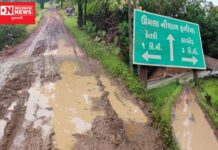 કપરાડાના ધારાસભ્ય અને જી.પંચાયતના સભ્ય દ્વારા નારિયેળ ફોડવા છતાં 30 વર્ષથી લોકો રસ્તા વગર..