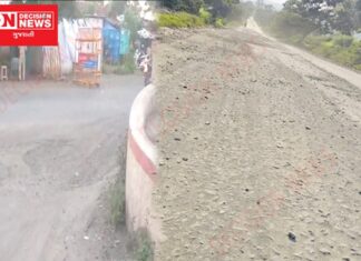 નર્મદાના દેડિયાપાડાથી મોવીને જોડતો માર્ગ બિસ્માર હાલતમાં છતાં તંત્ર ધોર નિદ્રમાં, જીવ જાય તો જવાબદાર કોણ ?