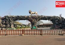 કેવડીયામાં જંગલ સફારીનું સંચાલન સોપાયું રિલાયયન્સ કંપની.. ખાનગીકરણનો વિકાસ.. ખેડૂતોને અન્યાય