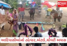 આદિવાસી સમાજનો અનોખી પરંપરા “ચૌવરી અમાસ”..