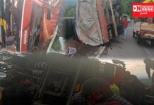 સાપુતારા ઘાટમાં ટ્રક પલટી ગઈ, રસ્તામાં વેરાયા ટામેટા.