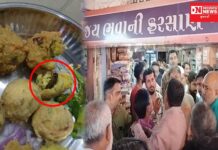 નસવાડીમાં ભજીયામાંથી નીકળ્યો કોકરોચ..યુવક દ્ધારા સોશિયલ મીડિયામાં વિડીયો કર્યો વાઇરલ.. જુઓ વિડીઓ..