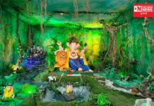 ચીખલીનાં આમધરા ગામમાં “Save Forest” થીમ પર ‘ગણપતિ બાપા’ અપાયું આકર્ષક ડેકોરેશન..