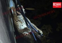 કપરાડામાં દિપડો શિકારના ફિરાકમાં કુવામાં પડયો.. ગામલોકોમાં જોવા કુહુતુલ..