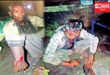 ડાંગના ગુંજપેડા ગામે લઘુશંકા કરવા ગયેલા ઇસમ પર દીપડાનો હુમલો…