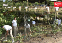 ગરુડેશ્વર તાલુકાના એક્તા નગર ખાતે પોલીસ વિભાગ દ્વારા રોડ સાઈડ પર સફાઈ કામ હાથ ધરાયું