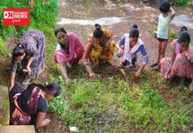 વાંસદાના ખાંભલા ગામમાં મહાત્મા ગાંધી જન્મ જયંતી નિમિત્તે સ્વચ્છતા અભિયાન હાથ ધરાયું.