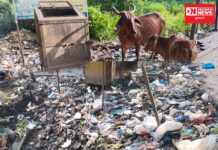 વાંસદાના રાણી ફળીયામાં 2 ઓક્ટોબર સ્વચ્છતાની કામગીરી માત્ર ફોટો સેશન માટે.. કચરાના છે ઢગલાં જ ઢગલા..!