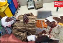 આહવાના જામલપાડામાં ગોવાળિયા પર દિપડાનો હુમલો… ગ્રામજનોમાં ભયનો માહોલ