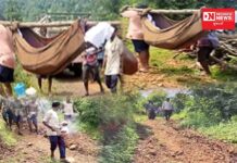 વાંસદાના ખાટાઆંબા ગામના યુવાને ઝેરી દવા પીધા બાદ સારવાર ન મળતા યુવકનું થયું મોત.