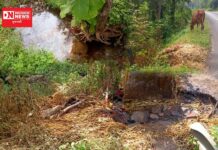 ડાંગમાં કેટલાંક ઈસમો દ્વારા ઠલવાય રહ્યું છે ઝેરી કેમિકલ.. તંત્ર નિંદ્રાધીન