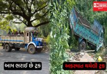 નશેબાજ ચાલકે સુગર ફેક્ટરી માટે જતી મજુરોથી ભરેલી ટ્રક ખીણમાં પાડી.. 4 ની હાલત ગંભીર