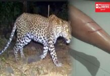 ફરી એક વખત ચીખલીના ફડવેલ ગામમાં નોકરી પરથી ઘરે આવતાં વ્યક્તિ પર દિપડાએ કર્યો હુમલો..