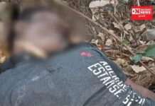 ડાંગના જંગલમાં મળી લાશ.. હત્યા કે આત્મહત્યા.. ભેદ હજુ અકબંધ.. પોલીસ તપાસ શરુ..