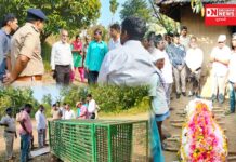 ડાંગ કલેક્ટરશ્રીએ નડગખાદી ગામે દીપડાના હુમલાનો ભોગ બનનાર મૃતક પરિવારની લીધી મુલાકાત..