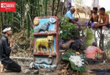 વાઘબારહ: આદિવાસિયતના અસ્તિત્વ માટે આશાનું કિરણ.. આજનો યુવાવર્ગ મૂળ સંસ્કૃતિ તરફ વળી રહ્યો છે..