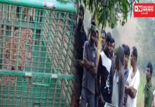 દીપડાથી સાવચેતી રાખવા વન વિભાગે ગ્રામસભા યોજી લોકોને કર્યા માહિતગાર.. જાણો શું આપી માહિતી..