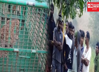 દીપડાથી સાવચેતી રાખવા વન વિભાગે ગ્રામસભા યોજી લોકોને કર્યા માહિતગાર.. જાણો શું આપી માહિતી..