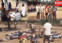 દાનહના સાયલી ગામમાં આદિવાસી સમાજ દ્વારા કરાઈ વાઘબારસની પુજાવિધી..