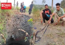 કુવામાં પડી ગયો ઝેરી કોબ્રા, યુવાનોએ આ રીતે જીવના જોખમે કર્યું રેસ્ક્યું… જુઓ વિડીઓ…