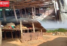 કાવેરી નદીના ચેકડેમના પાણી રોકવાની બારીઓ વાંસદાના જિ.પં.ન્યાય સમિતિના અધ્યક્ષ બાબજુભાઈ ગાયકવાડના તબેલાના પશુઓ મળમૂત્ર રોકી રહી છે.. બોલો