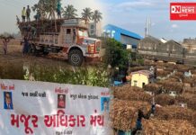 ગુજરાતની શેરડીની ફેક્ટરીઓ બે લાખ કામદારોને લઘુત્તમ વેતન ચૂકવતી નથી..151 કરોડનું ષડયંત્ર