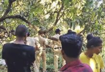 એક આંબાવાડીમાં મહિલાની મળી લાશ.. આત્મહત્યા કે હત્યા ? કારણ અકબંધ