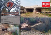 ડેડીયાપાડા તાલુકામાં મુખ્યમંત્રી ગ્રામ સડક યોજનામાં ખૂબ મોટો ભ્રષ્ટાચાર દાયમાં કન્સ્ટ્રકશન ની મનમાની!!