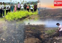 ધરમપુરના પીપરોળ વરસાદી દેવના ડુંગર પર ફરી અજાણ્યા લોકો દ્વારા લગાવાઈ આગ.. લોકમંગલમ્ ચેરીટેબલ ટ્રસ્ટના સંસ્થાપકની લોકઅપીલ..