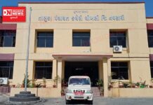 ચૂંટણી ન યોજાતા અનેક સવાલ: ચીખલી તાલુકાની 6માં વહીવટદાર અને 4 પંચાયતમાં ઈ. સરપંચથી ગબડાવાય છે ગાડું..