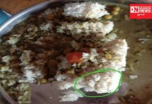 હવે હદ થઈ ગઈ: ચીખલીની સરકારી શાળાના મધ્યાહન ભોજનમાં ગરોળી બાદ હવે ઈયળ નીકળી.. બોલો