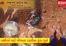ચીખલી માંડવખડક PHC પરનું વિશ્વ ચકલી દિવસનું એક કરુણતાભર્યું કે માનવતાને મહેકાવતું દ્રશ્ય.. નક્કી તમે કરો.. પક્ષીઓ માટે પાણીના કુંડા મુકો