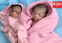 ધરમપુરના મોહનાકાવચાળી ગામની આદિવાસી સગર્ભાએ 108 માં જ બે બાળકીઓને આપ્યો જન્મ.. EMT અને પાયલોટની કામગીરીની પ્રસંશા