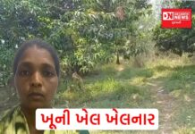 વલસાડની વાડીમાં મહિલાએ ખેલાયો ખૂની ખેલ.. LCB પોલીસ હત્યાનો ભેદ ઉકેલવામાં રહી સફળ..