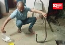 કપરાડાની ગિરનારા આશ્રમ શાળામાં ઝેરી કોબ્રા સાપનો દિલ ધડક રેસક્યુ…